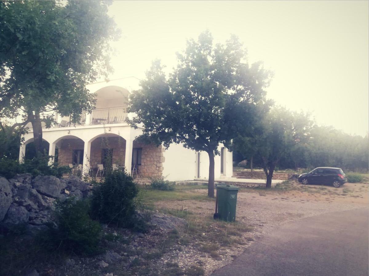 Apartmani Lucija Масленица Экстерьер фото